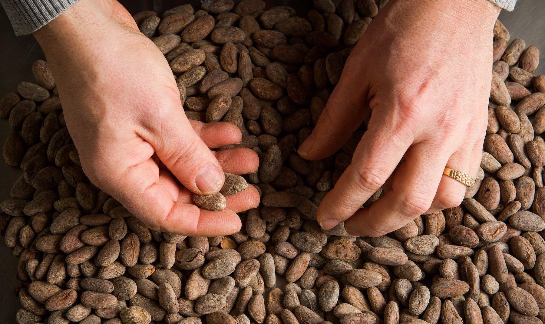 Maverick Chocolate Co